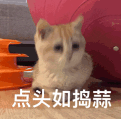 孩子性格培育！為什么越批評，孩子越不聽話，是叛逆嗎？