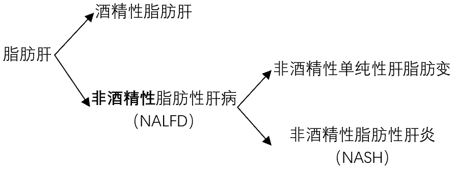 哪些藥物可以治療脂肪肝？